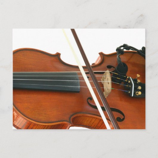 フィドル ポストカード (正面)