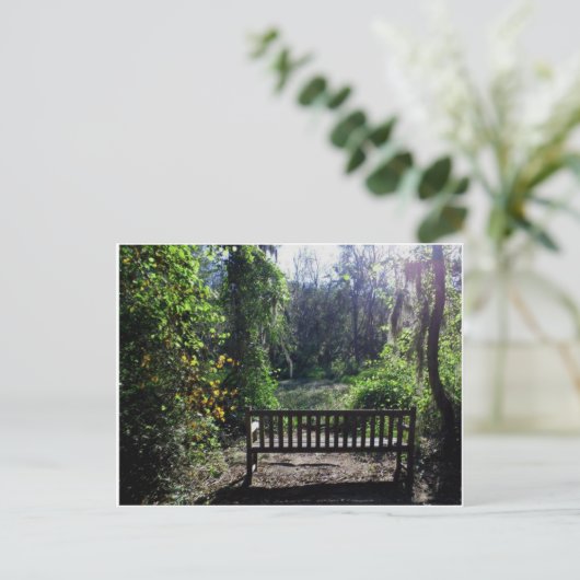 フィニジー・スワンプパーク（ジョージア州オーガスタ）での夕日 ポストカード (スタンド正面)