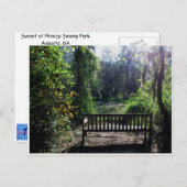 フィニジー・スワンプパーク（ジョージア州オーガスタ）での夕日 ポストカード (正面/裏面)