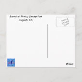 フィニジー・スワンプパーク（ジョージア州オーガスタ）での夕日 ポストカード (裏面)