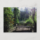 フィニジー・スワンプパーク（ジョージア州オーガスタ）での夕日 ポストカード (正面)