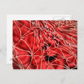 フィブリンを用いた赤血球の概念像 ポストカード (正面/裏面)