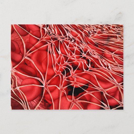 フィブリンを用いた赤血球の概念像 ポストカード (正面)