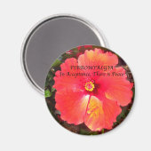 フィブロコンセプション マグネット (正面/裏面)