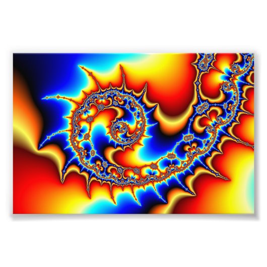 フィボナクシスピケラル フォトプリント            (正面)