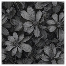 フィボナッチ花模様II