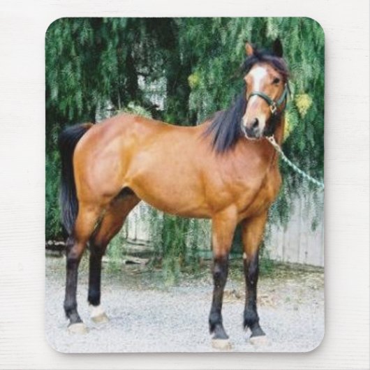 フィボナッチ マウスパッド (正面)