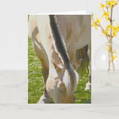 フィヨルドあいさつカード カード (黄色い花)