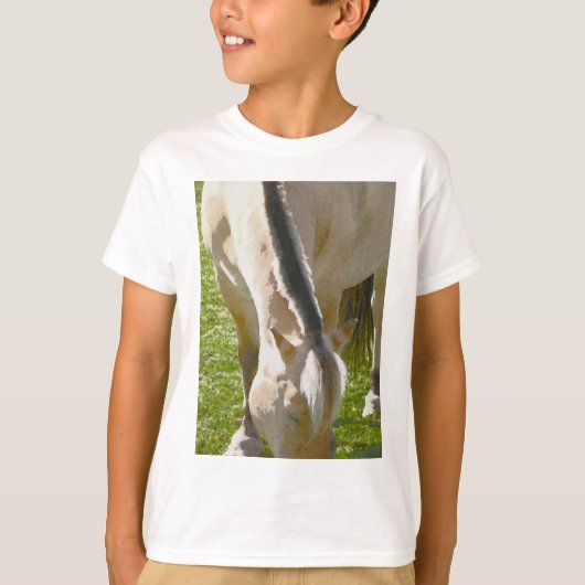 フィヨルドのTシャツ Tシャツ (正面)