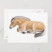 フィヨルドホースアットレストポストカード ポストカード (正面/裏面)