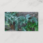 フィラデルフィアのシダ 名刺 (裏面)