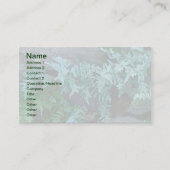 フィラデルフィアのシダ 名刺 (正面)