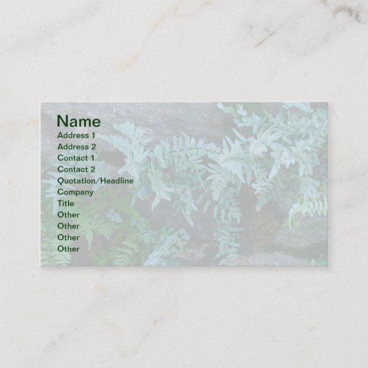 フィラデルフィアのシダ 名刺 (正面)