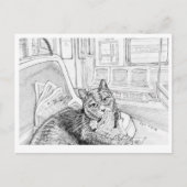フィラデルフィアの地下鉄の猫（ポストカード） ポストカード (正面)