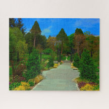 フィラデルフィアの樹上。