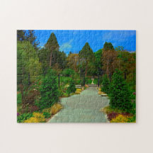 フィラデルフィアの樹上。