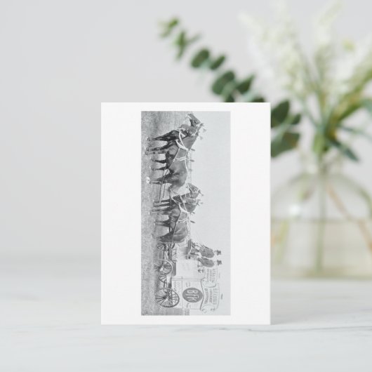 フィラデルフィアヴィンテージ19広告世紀 ポストカード (スタンド正面)