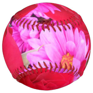 フィリッパ ソフトボール