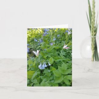 フィリップ4:4空白のカード カード