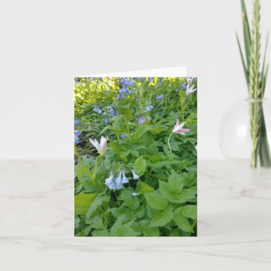 フィリップ4:4空白のカード カード (正面)