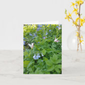 フィリップ4:4空白のカード カード (黄色い花)