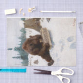 フィリップ・ラッセル・グッドウィンによる弱気予報 薄葉紙 (クラフト)