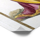 フィリップII (1527-98)スペインの王'Receuil de ポスター (角)