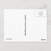 フィリピンのはがき ポストカード (裏面)