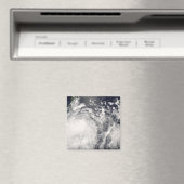 フィリピンの台風Fengshen マグネット (インサイチュ (食洗機))