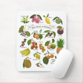 フィリピンの果実 マウスパッド (マウス)