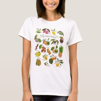 フィリピンの果実 Tシャツ
