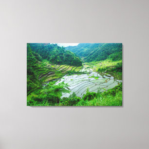 フィリピンの棚田の風景 キャンバスプリント