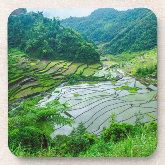 フィリピンの棚田の風景 コースター (正面)