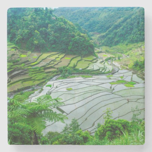 フィリピンの棚田の風景 ストーンコースター (正面)