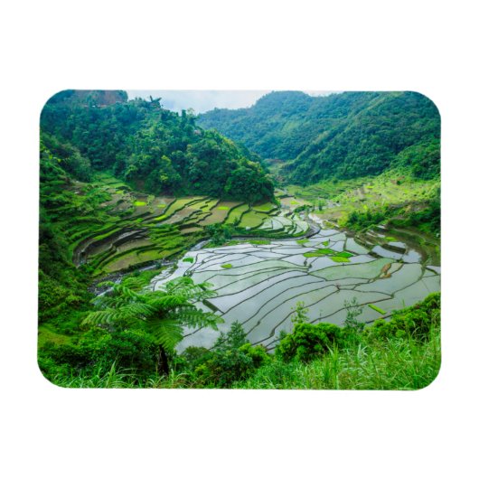 フィリピンの棚田の風景 マグネット (横)