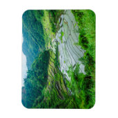 フィリピンの棚田の風景 マグネット (縦)