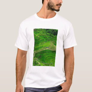 フィリピンの緑の棚田 Tシャツ