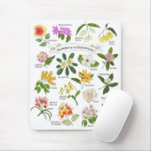 フィリピンの花 マウスパッド (マウス)