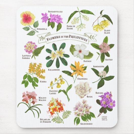 フィリピンの花 マウスパッド (正面)