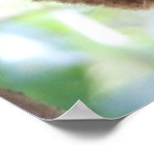 フィリピンタルシエプリント ポスター (角)