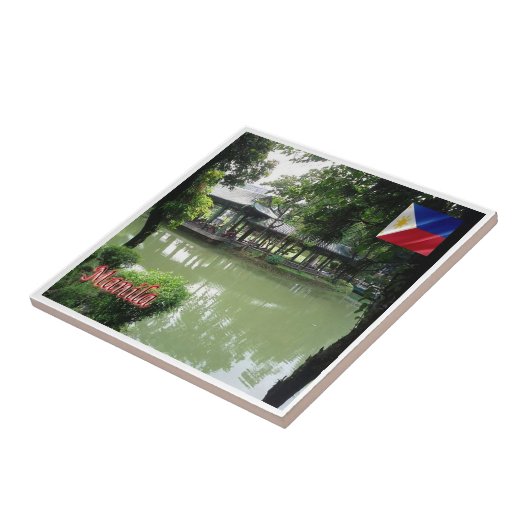 フィリピン中国のマニラの庭園 タイル (側面)