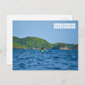 フィリピン島 ポストカード (正面/裏面)