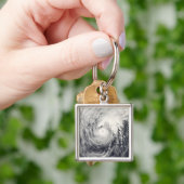 フィリピン海のイルカ キーホルダー (手)