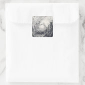 フィリピン海のイルカ スクエアシール (バッグ)