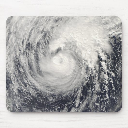 フィリピン海のイルカ マウスパッド (正面)