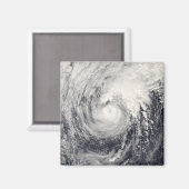 フィリピン海のイルカ マグネット (正面/裏面)