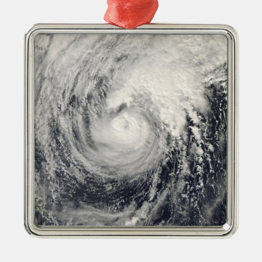 フィリピン海のイルカ メタルオーナメント (正面)