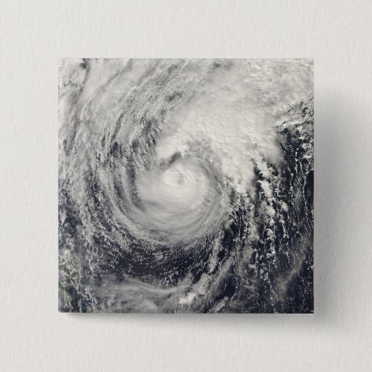 フィリピン海のイルカ 缶バッジ (正面)