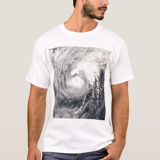 フィリピン海のイルカ Tシャツ (正面)