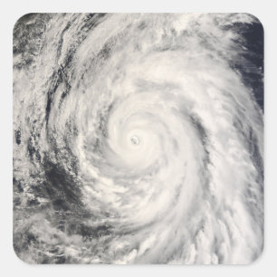 フィリピン海のラムマスン台風 スクエアシール